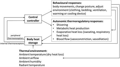 Functional links between thermoregulation and sleep in children with neurodevelopmental and chronic health conditions